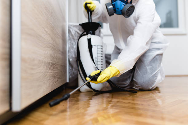 Best Affordable Pest Control Services  in Van Buren, AR