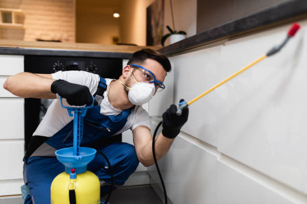Best Mosquito Control Services  in Van Buren, AR