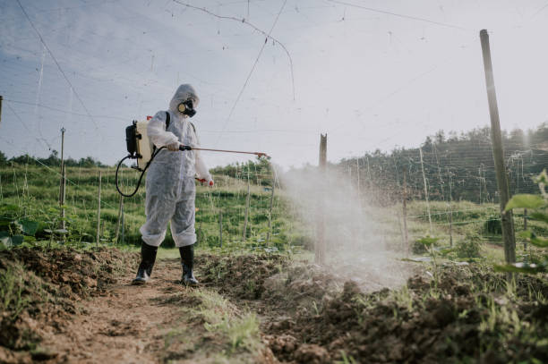 Best Best Pest Control Companies  in Van Buren, AR