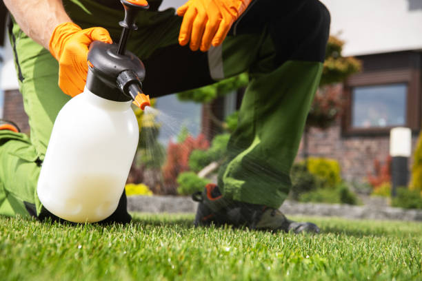 Best Flea Control Services  in Van Buren, AR