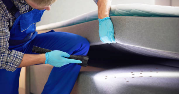 Best Pest Inspection Near Me  in Van Buren, AR