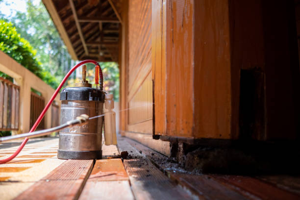 Best Ant Control Services  in Van Buren, AR