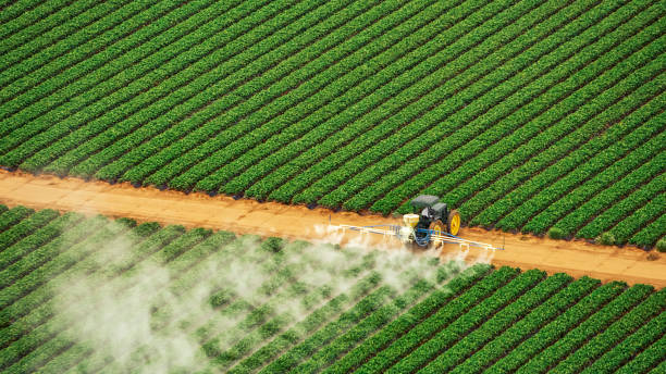 Van Buren, AR Pest Control Company