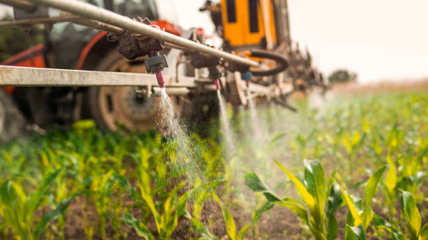 Best Best Pest Control Companies  in Van Buren, AR